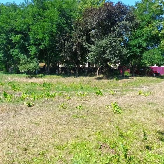 Teren de 3600 mp, în Gura Văii