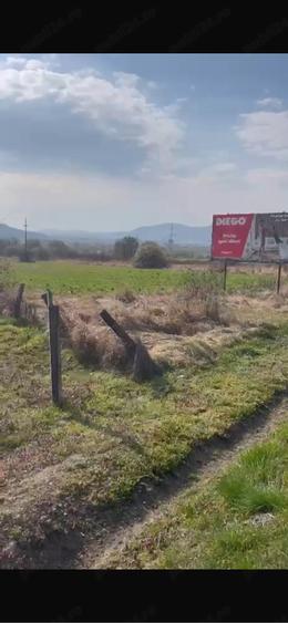 Teren de 2300 mp, în Viișoara