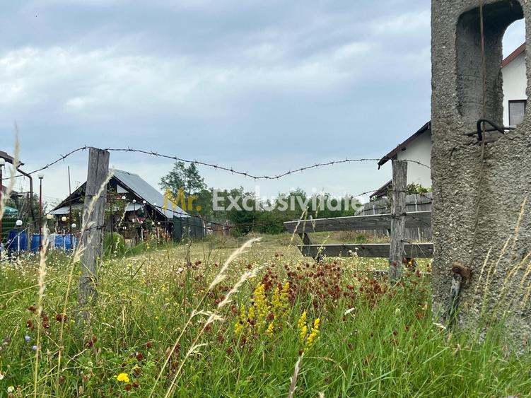 Teren Construcții intravilan de 1575 mp, în Băbana