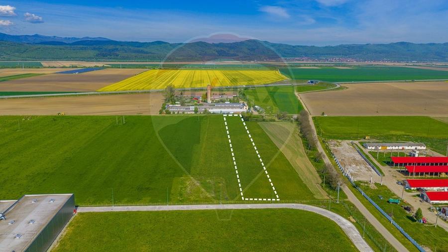 Teren agricol extravilan de 5009 mp, în ISR