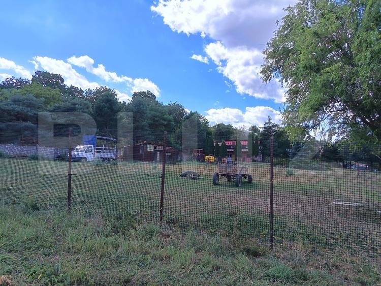 Teren agricol extravilan de 6500 mp, în Mihai Viteazu