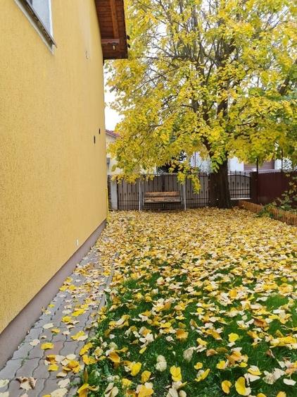 Casă individuală cu 4 camere cu Canalizare în Micești