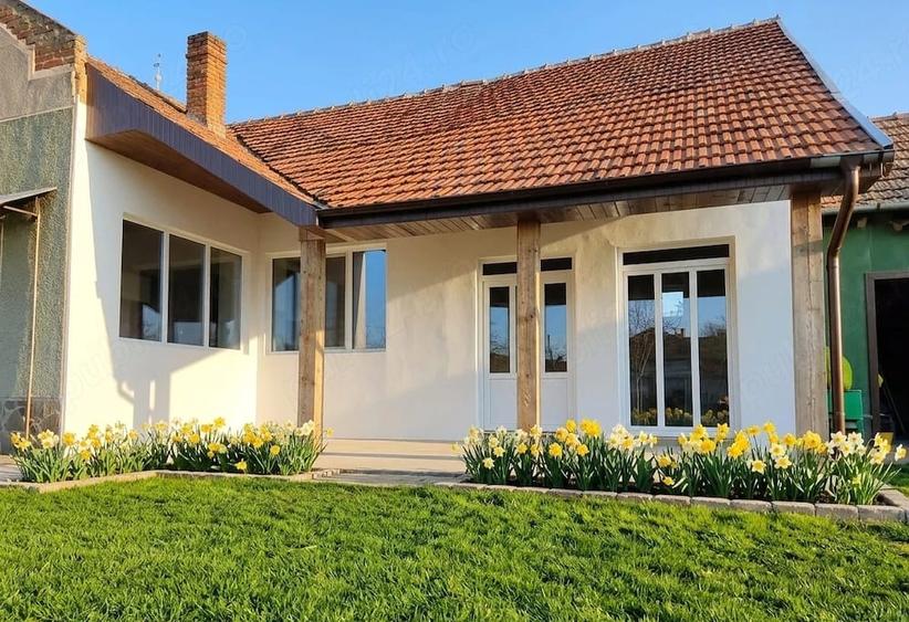 Casă cu Teren 2971 Mp în Santăul Mare