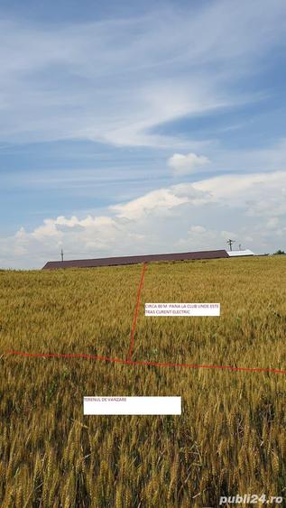 Teren de 5900 mp, în Curcani