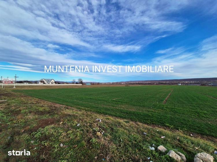 Teren intravilan 23504 mp. com.Maracineni,sat Argeselu. - 4