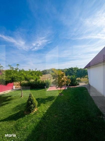 Casă cu Teren 1052 Mp în Pleșoiu