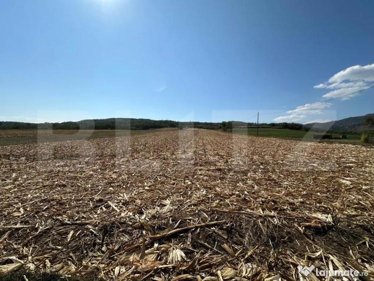 Teren intravilan de vanzare 14000mp,ideal pentru investitie, - 4