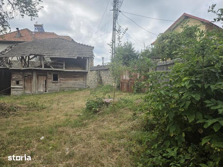 Buciumeni Dealul Mare - 9