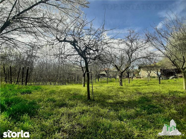 Teren 1274 mp cu livada si casa veche Primarie Bragadiru - 11
