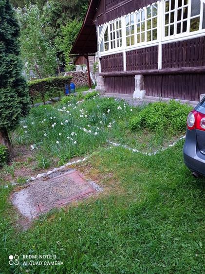 Casă cu 3 camere în Exterior Vest