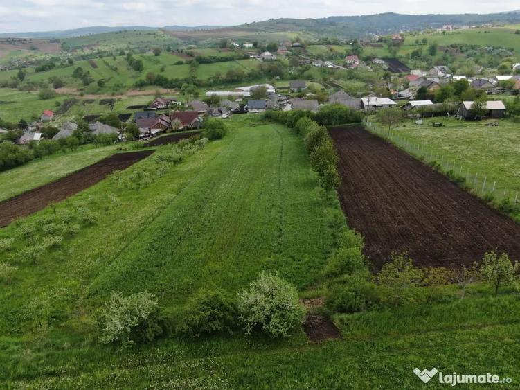 Teren de 5000 mp, în Valea Arini