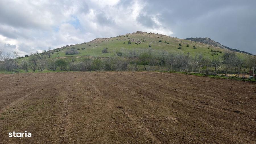 Teren de 1100 mp, în Greci