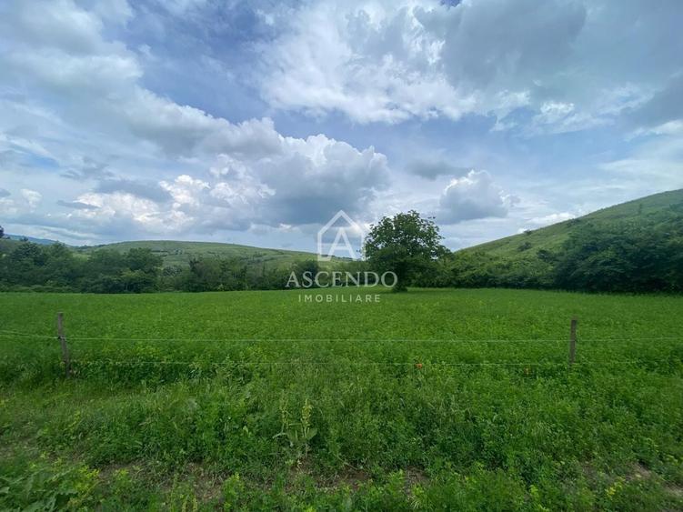 Teren Construcții intravilan de 15900 mp, în Fințești