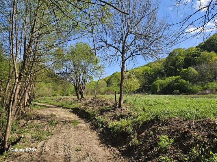 Teren Construcții intravilan de 2158 mp, în Groși