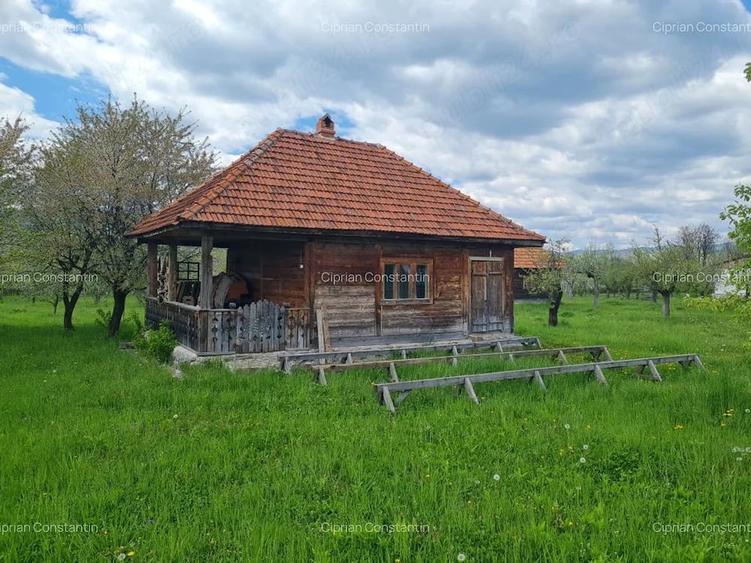Casă cu Teren 20855 Mp în Albești