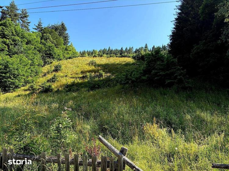 Teren de 10290 mp, în Șinca