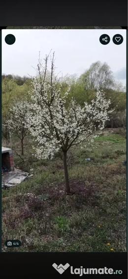 Teren de 2100 mp, în Gârbova