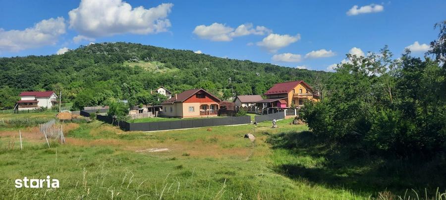 Casă cu 2 camere cu Teren 3000 Mp în Erbiceni