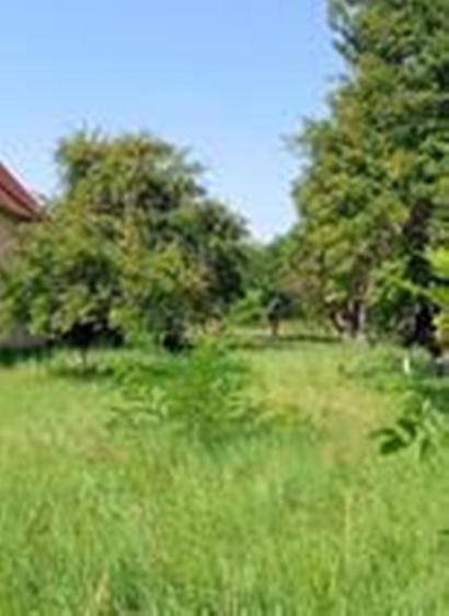 Teren Construcții intravilan în Tărlungeni