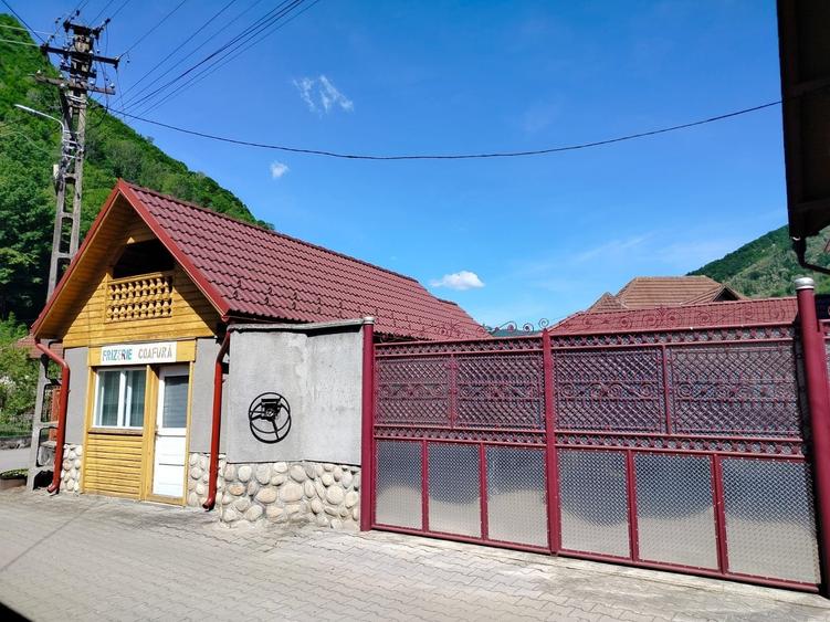 Casa de vanzare in Sugag -Transalpina - 3