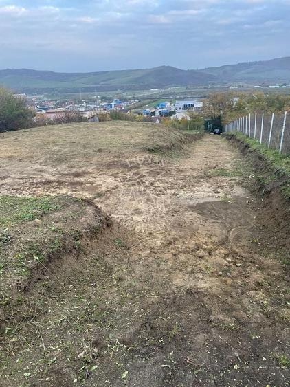 Teren Construcții intravilan de 2700 mp, în Viișoara