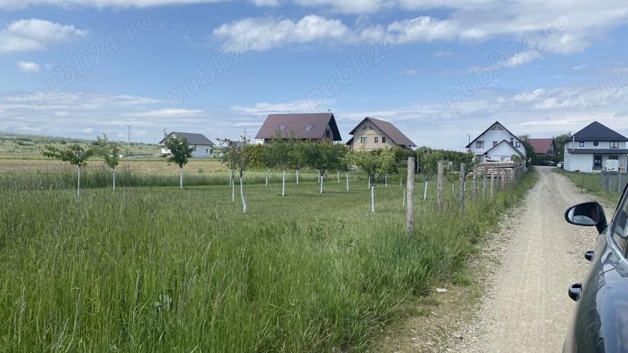 vanzare teren radauti 1791mp - 3