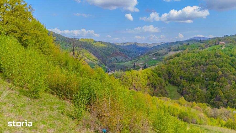 Teren de 18537 mp, în Poiana Mărului