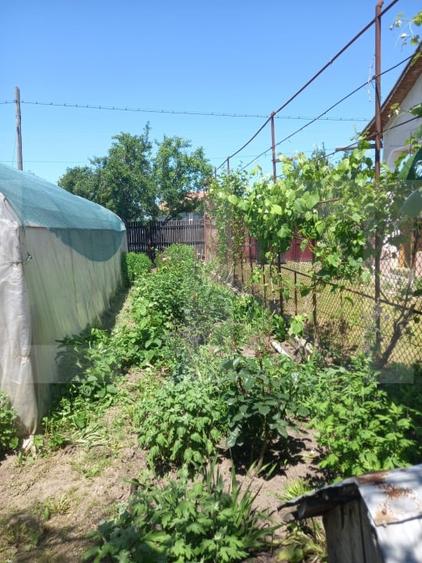 Casă individuală cu 7 camere cu Canalizare în Verguleasa