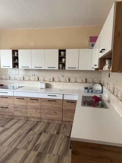 Casă cu 3 camere în Livada de Bihor