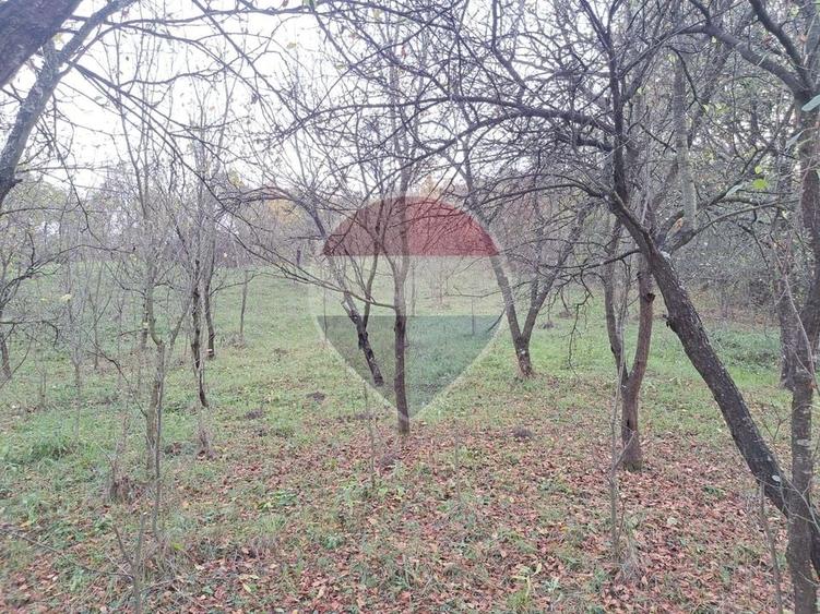 Teren Construcții intravilan de 3500 mp, în Vărbilău
