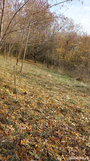 Teren de 1600 mp, în Brebu