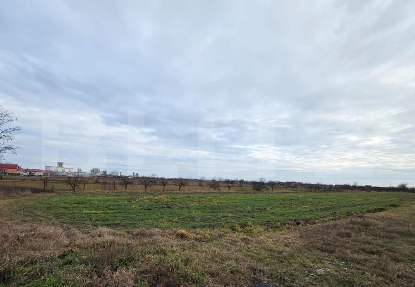 Teren agricol extravilan de 5900 mp, în Cloșca