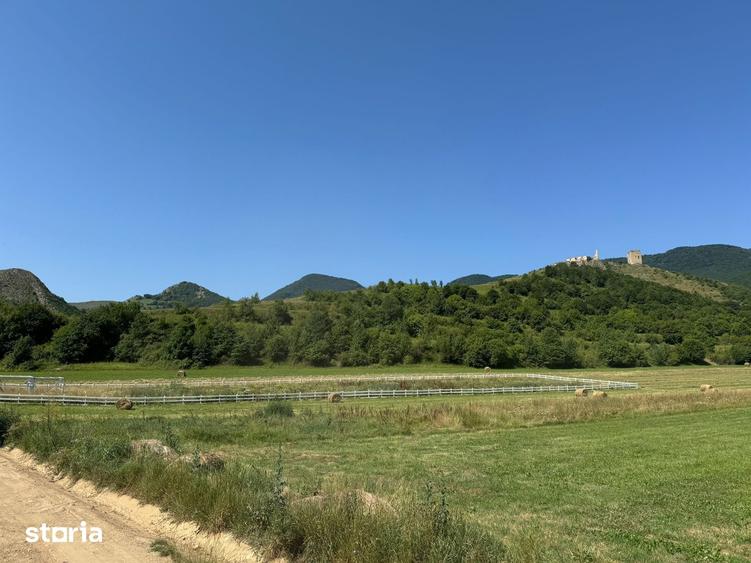 Teren de 9000 mp, în Fărău