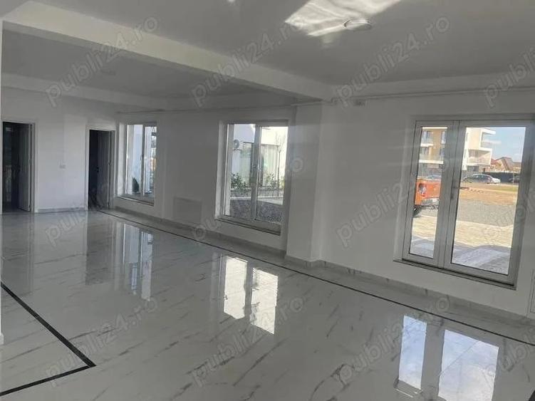 Spațiu comercial, de 300 mp, în Dumbrăvița