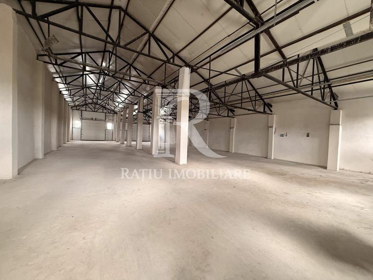 Spațiu industrial, de 540 mp, în Livada de Bihor