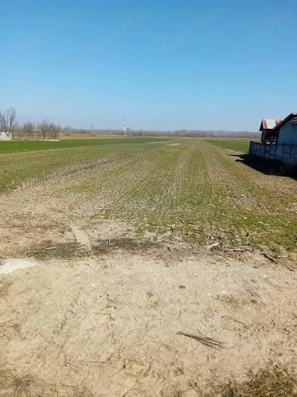 Teren de 3600 mp, în Central