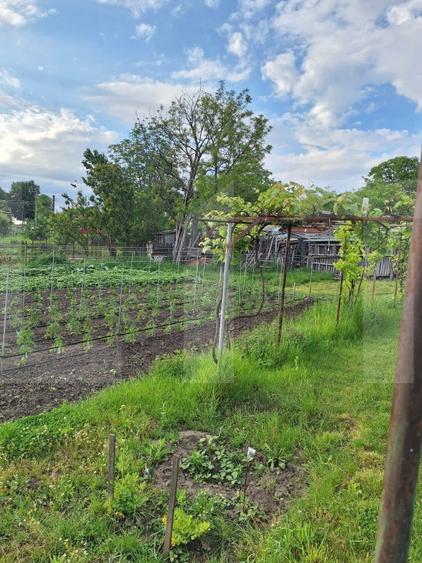 Casă individuală cu 2 camere cu Teren 7637 Mp în Călinești (Bucecea)