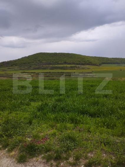 Teren de 3621 mp, în Petrești