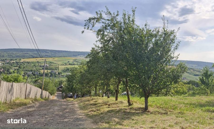 Teren de 740 mp, în Tomești