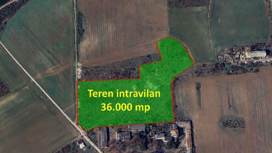 Teren Construcții intravilan de 36000 mp, în Crevedia