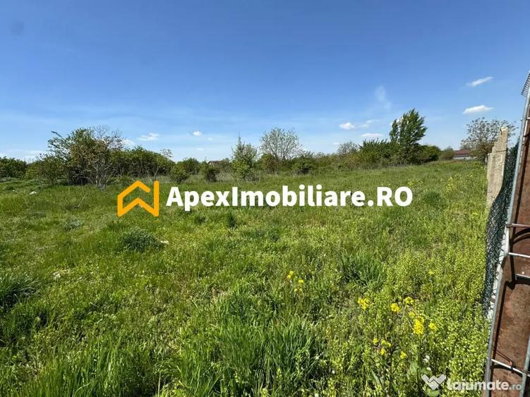Teren intravilan de vanzare Cornetu IF | ApexImobiliare.ro - 4
