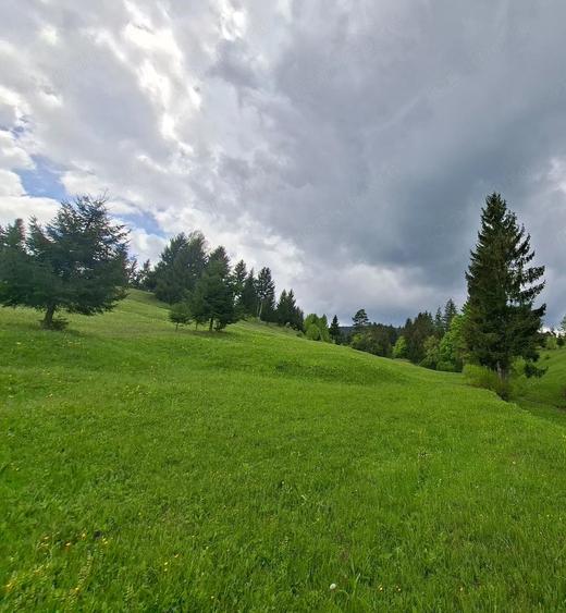 Teren investitii zona rurala - 7