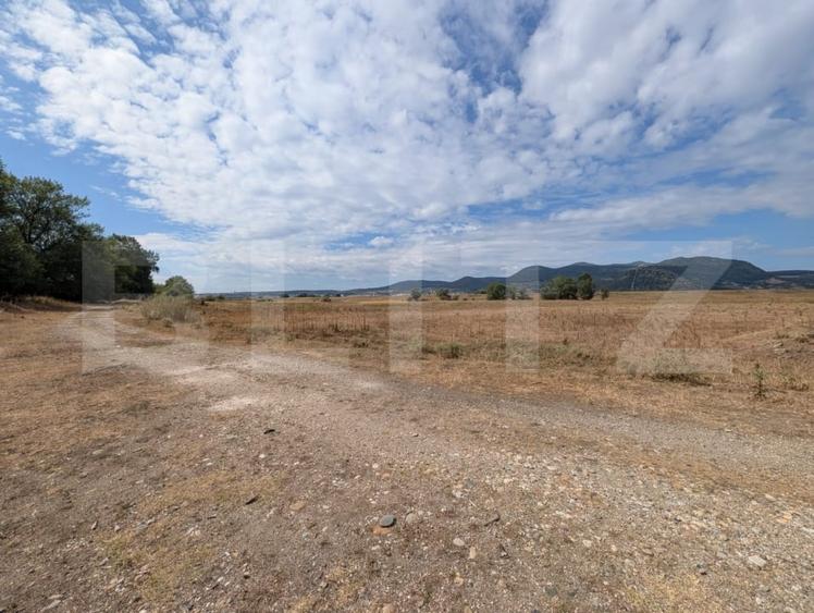 Teren agricol extravilan de 10000 mp, în Mureș
