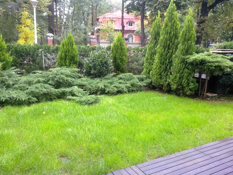 Apartament Aviatorilor - 1