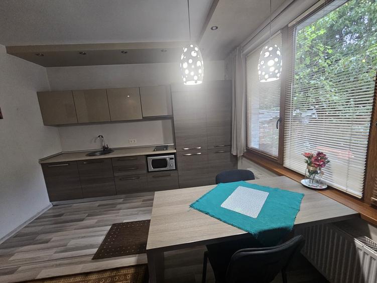 Apartament cu 2 camere semidecomandat, mobilat în Plopilor
