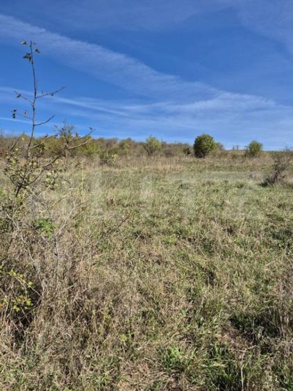 Parcela 12000 mp teren intravilan de vanzare in Livezeni - 5