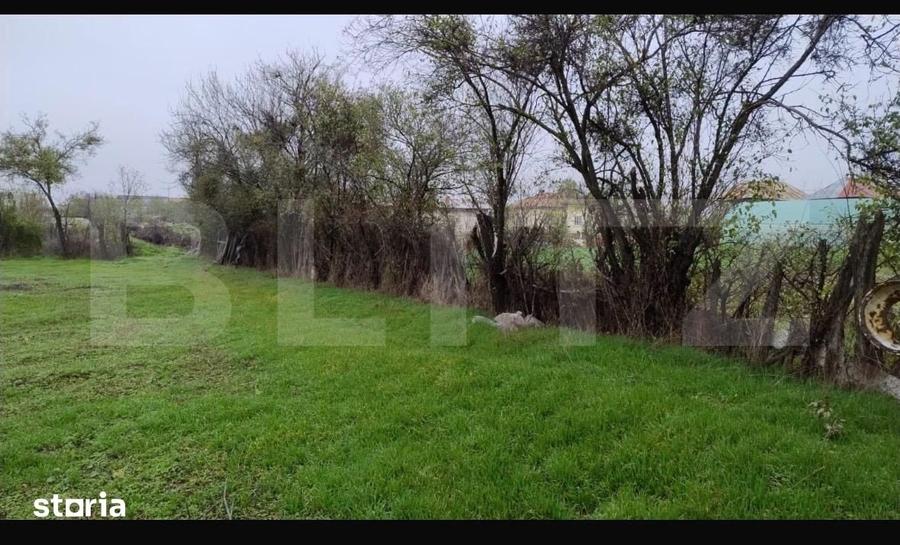 Teren de 3000 mp, în Conțești