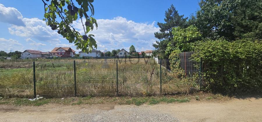 Teren Construcții intravilan de 3903 mp, în Mogoșoaia
