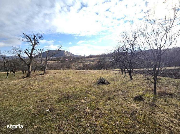 Teren de 3800 mp, în Mirșid