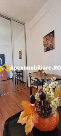 Garsonieră semidecomandată în Cișmigiu